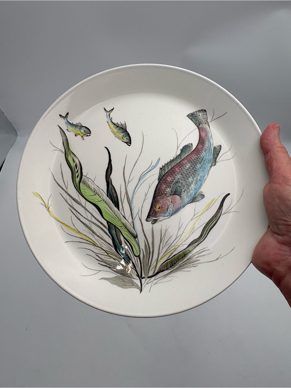 Vintage Johnson Bros. Hand-engraved Fish Plate  - Design No. 7 - Made in England